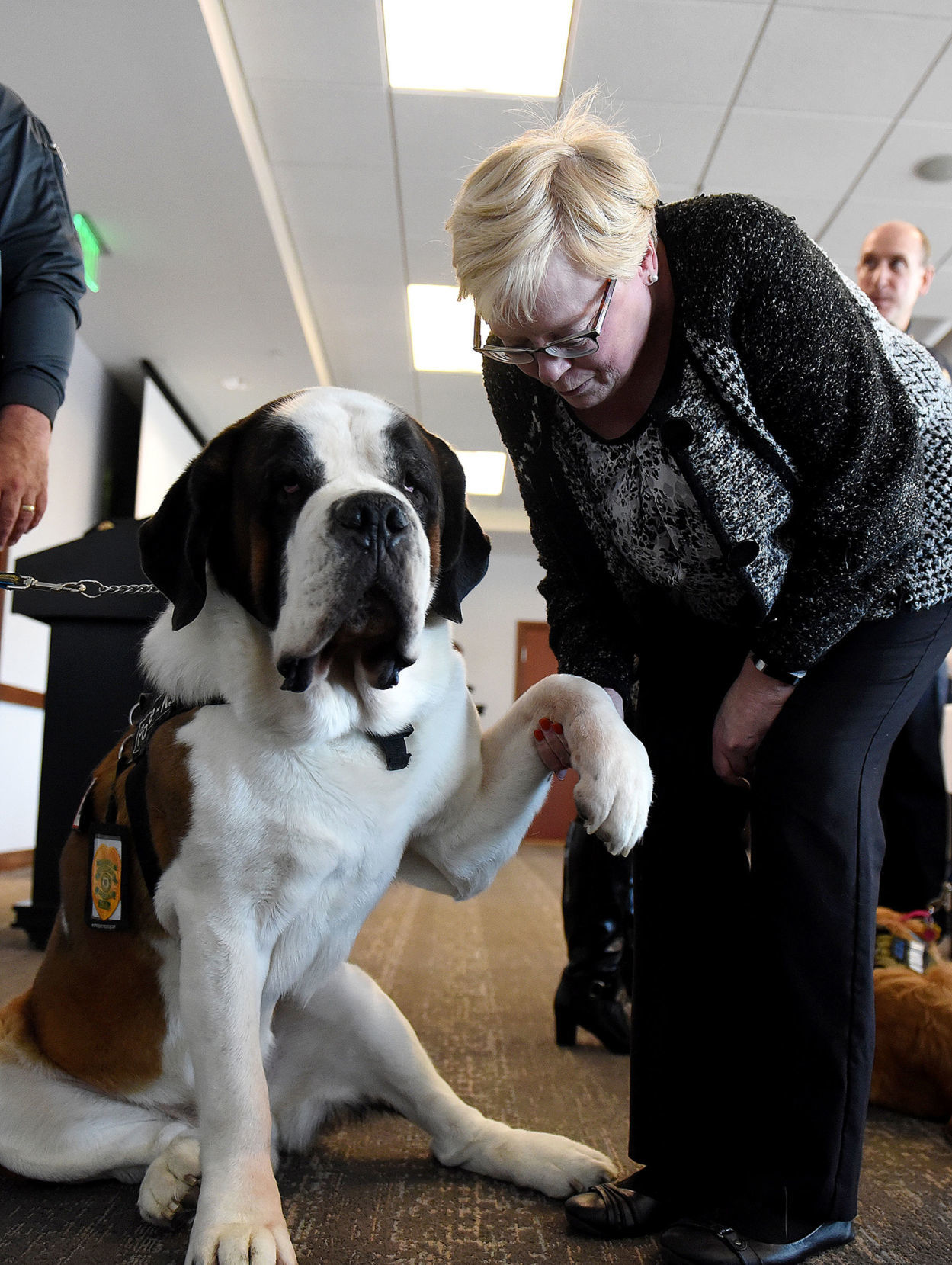 Comfort dogs - Clarence shakes paws
